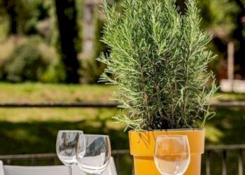 Altro - Villa via San Massimo, Rapallo - foto 6