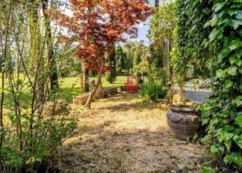 Giardino - Villa via San Massimo, Rapallo - foto 19