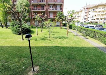 Giardino - Quadrilocale via Settimo, 20A, Borgaro Torinese - foto 9