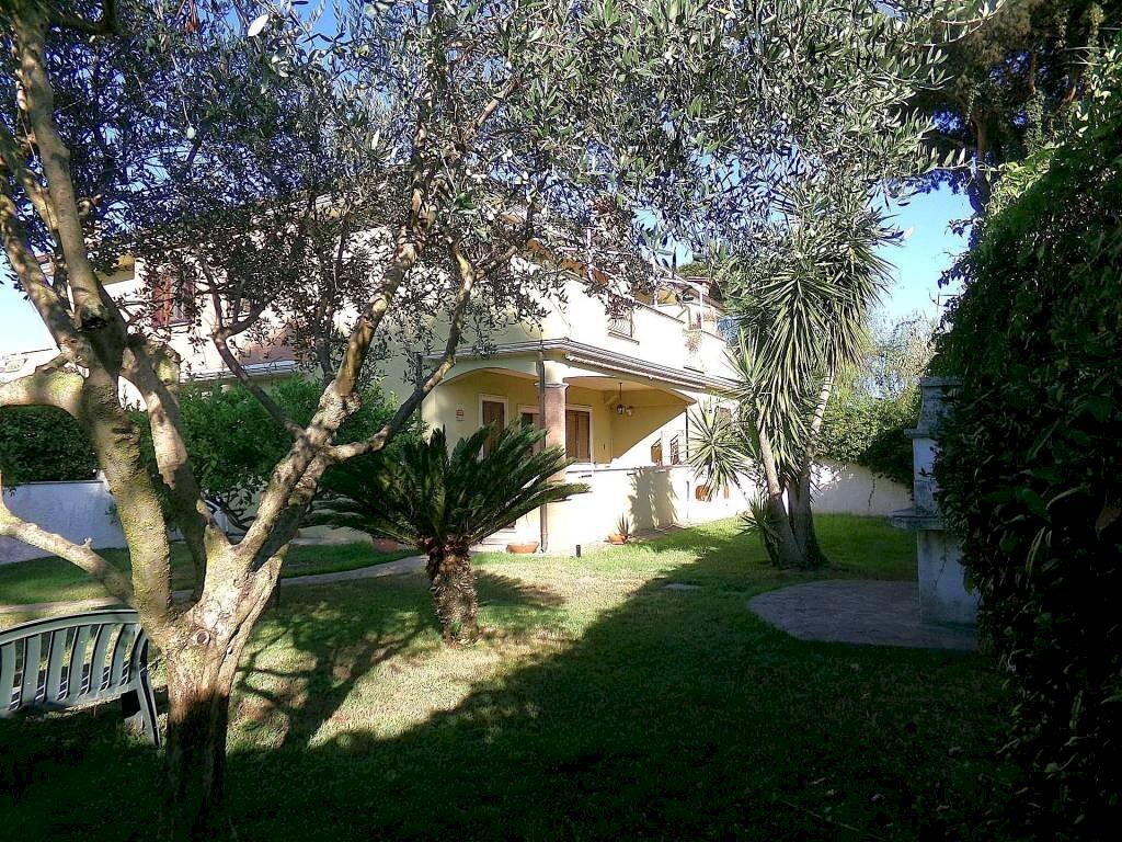 Giardino - Villa viale dei Giornalisti, Anzio - foto 2