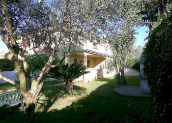 Giardino - Villa viale dei Giornalisti, Anzio - foto 2