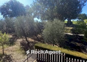 Terreno - Villa Frazione Sant'Apollinare, 118, Arcevia - foto 9