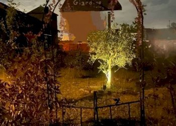 Terreno - Rustico via Colonne, Travacò Siccomario - foto 19