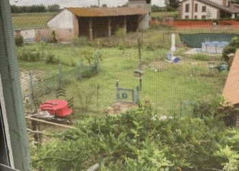 Terreno - Rustico via Colonne, Travacò Siccomario - foto 21