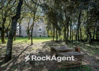Giardino - Stabile - Palazzo Località Morruzze, 14, Baschi - foto 7