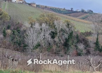 Terreno - Rustico contrada Serepenne, Villamagna - foto 23