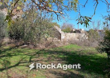 Terreno - Villa contrada Sant' Anna, Casarano - foto 19