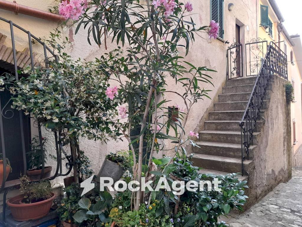 Giardino - Casa indipendente vicolo Santa Maria, 7, Acquapendente - foto 2