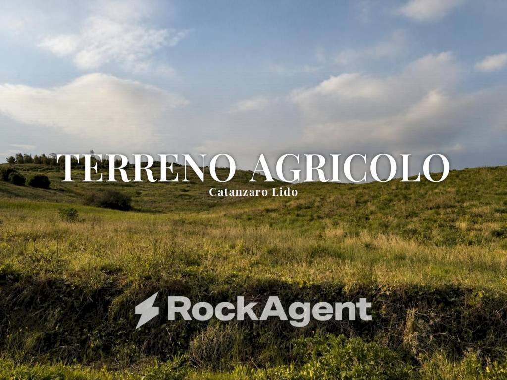 Terreno - Terreno agricolo viale Emilia, 1, Catanzaro - foto 1