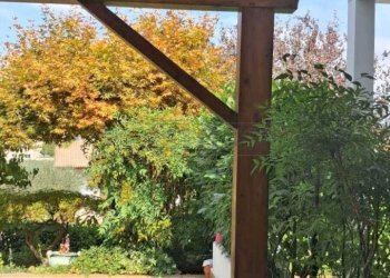 giardino - Casa semi indipendente Arzignano - foto 3