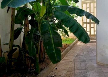WhatsApp Image 2026-09-03 at 11.50.38(2) - Appartamento Via Apulia 3, Martano - foto 10
