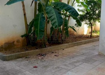WhatsApp Image 2026-09-03 at 11.50.39 - Appartamento Via Apulia 3, Martano - foto 15