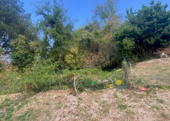 31 - Terratetto - Terracielo strada della borgata 19, Terenzo - foto 24