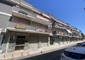 IMG_2278 - Appartamento Via dei Mille 35, Adelfia - foto 2