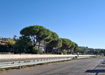 2 Superstrada RSM - Locale Commerciale Via Cesare Pavese 0, Rimini - foto 2