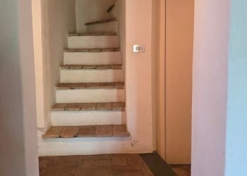 20-20250426_105157.jpg.jpg - Casale SP92 93, Baschi - photo 20