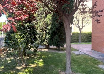 WhatsApp Image 2026-05-07 at 10.27.21.jpg - Commercial Premises Vicolo San Gregorio, Rimini - photo 3