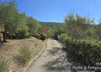 03 - Casale Le Ginestre di Greppolischieto, Piegaro - photo 3