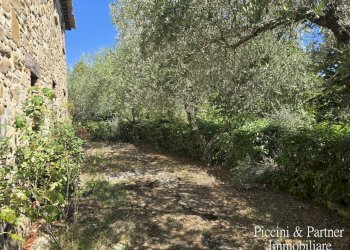 05 - Casale Le Ginestre di Greppolischieto, Piegaro - photo 5
