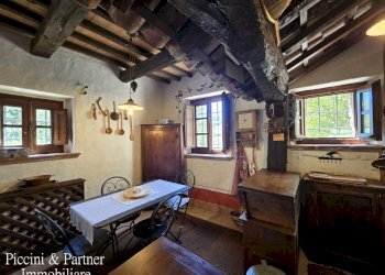 17 - Casale Le Ginestre di Greppolischieto, Piegaro - photo 17
