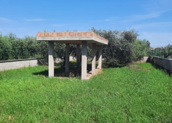 20230531_103429 - Rustic Via San Biagio Platani, Roma - photo 4