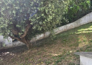 Appartamento STRADA COMUNALE CHIAPPINELLO, 27, Montesilvano - foto 51