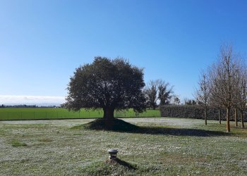 Villa Unifamiliare via Ragone, Ravenna - foto 49