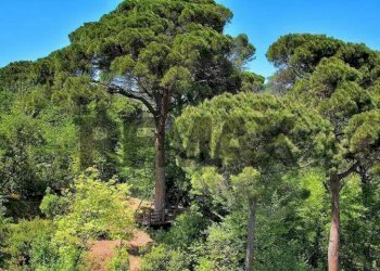 Porzione di casa Via di Bana, 34 
 Ruta, Camogli - foto 51