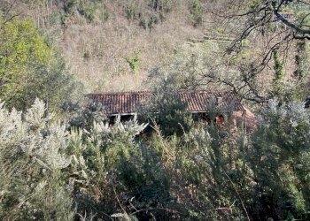 Foto 28 - Rustico via delle selvette
 
111, Camaiore - foto 28