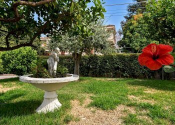 Giardino - Casa semi indipendente Contrada Auzanetto
 
SNC, Mascali - foto 41