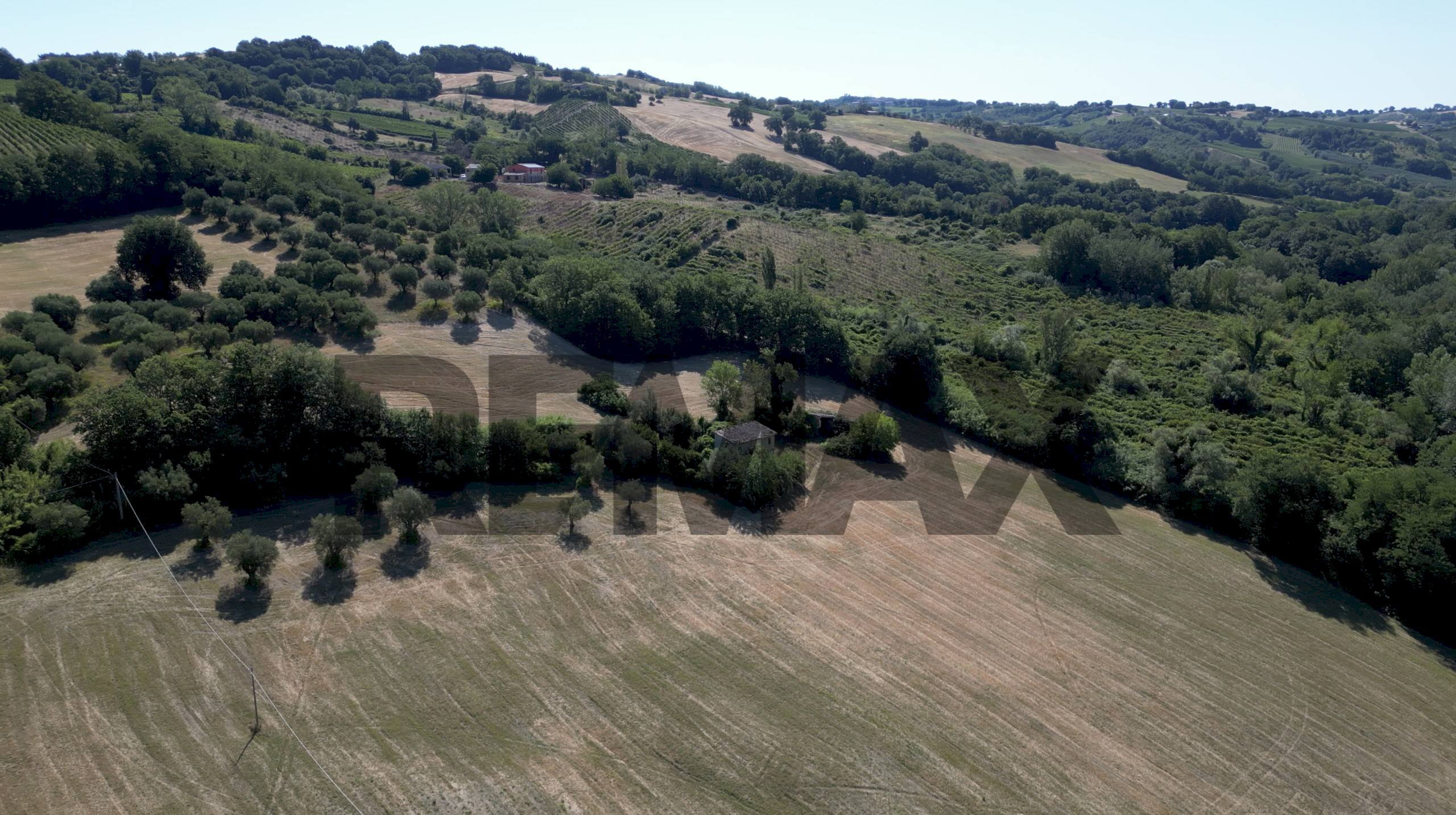 Vista delle montagne - Terreno agricolo Via Follonica
4, Cupramontana - foto 2