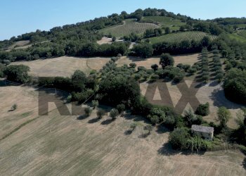 Vista delle montagne - Terreno agricolo Via Follonica
 
4, Cupramontana - foto 8