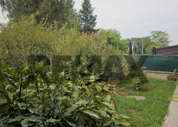 Giardino - Casa semi indipendente Via delle Querce
 
8, Zerbolò - foto 41