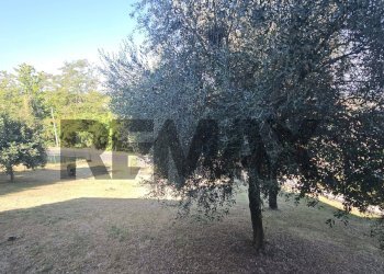 Giardino - Villa Via Dante Aligheri
 
91, Broni - foto 65