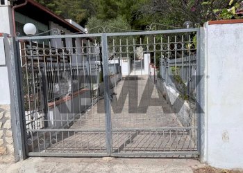 Non correlato - Casa semi indipendente Località Valle Clavia
 
snc, Peschici - foto 3