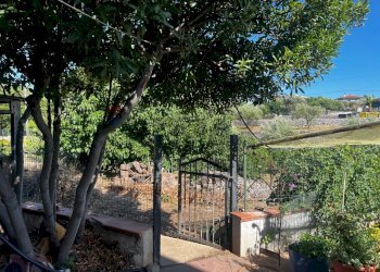 Giardino - Villa via pietre nere cava ispica
 
41, Modica - foto 8