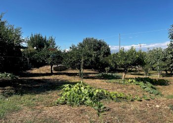 Giardino - Villa via pietre nere cava ispica
 
41, Modica - foto 10