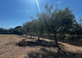 Giardino - Villa via pietre nere cava ispica
 
41, Modica - foto 19