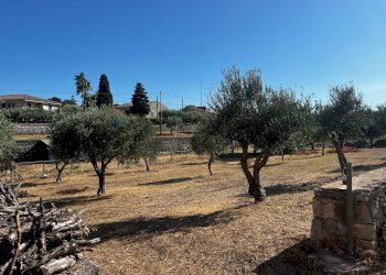 Giardino - Villa via pietre nere cava ispica
 
41, Modica - foto 25