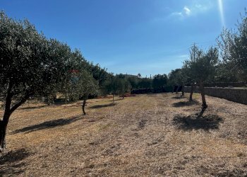 Vista delle montagne - Villa via pietre nere cava ispica
 
41, Modica - foto 26
