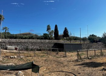 Giardino - Villa via pietre nere cava ispica
 
41, Modica - foto 27