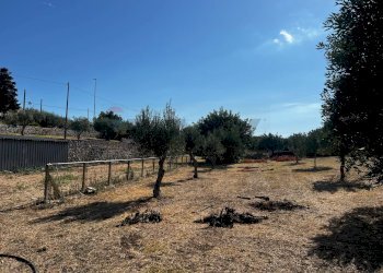 Giardino - Villa via pietre nere cava ispica
 
41, Modica - foto 28