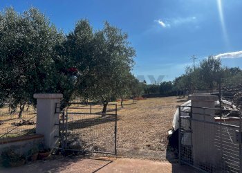 Giardino - Villa via pietre nere cava ispica
 
41, Modica - foto 30