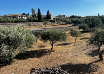Giardino - Villa via pietre nere cava ispica
 
41, Modica - foto 48