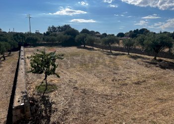 Vista delle montagne - Villa via pietre nere cava ispica
 
41, Modica - foto 49