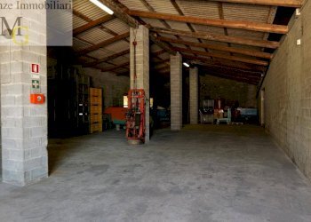 Foto 5 - Capannone via sule, Cologna Veneta - foto 5