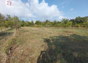 Foto 5 - Rustico via Aretina
 
120, Figline e Incisa Valdarno - foto 5