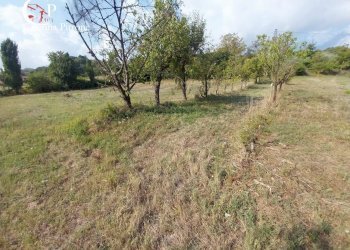 Foto 6 - Rustico via Aretina
 
120, Figline e Incisa Valdarno - foto 6