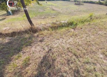 Foto 7 - Rustico via Aretina
 
120, Figline e Incisa Valdarno - foto 7