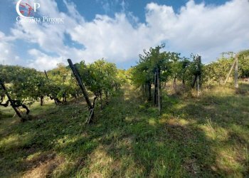 Foto 9 - Rustico via Aretina
 
120, Figline e Incisa Valdarno - foto 9
